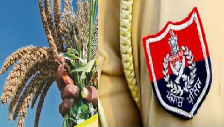 मोटा अनाज घटाएगा पंजाब पुलिस का मोटापा : डीजीपी का एसएसपी को पत्र, कर्मियों की डाइट में शामिल हो मिलेट्स,