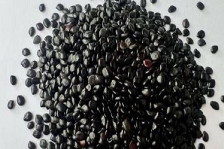 कब्ज का इलाज करता है यह देसी सुपरफूड, हर तरह से किया जा सकता है इस्तेमाल