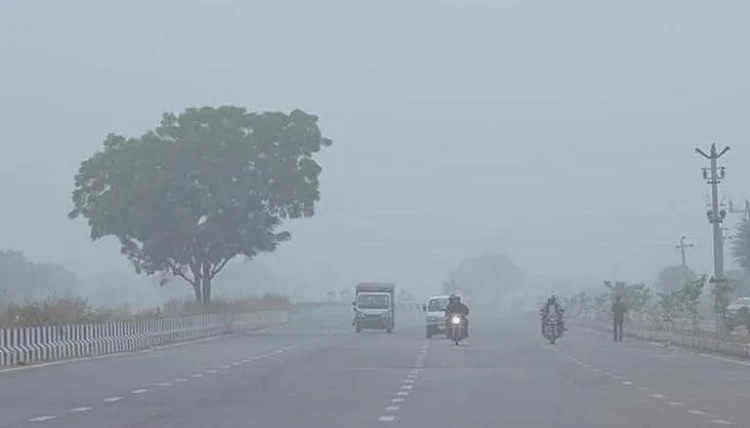 पंजाब में बठिंडा सबसे ठंडा रहा, मौसम ने जारी किया धुंध का रेड अलर्ट