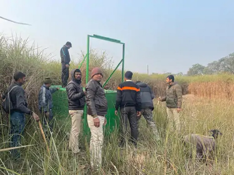 बिहार : बाघ ने जंगली सुअर को मारा, ड्रोन से टाइगर की तलाश, पकड़ने के लिए लगाया पिंजरा