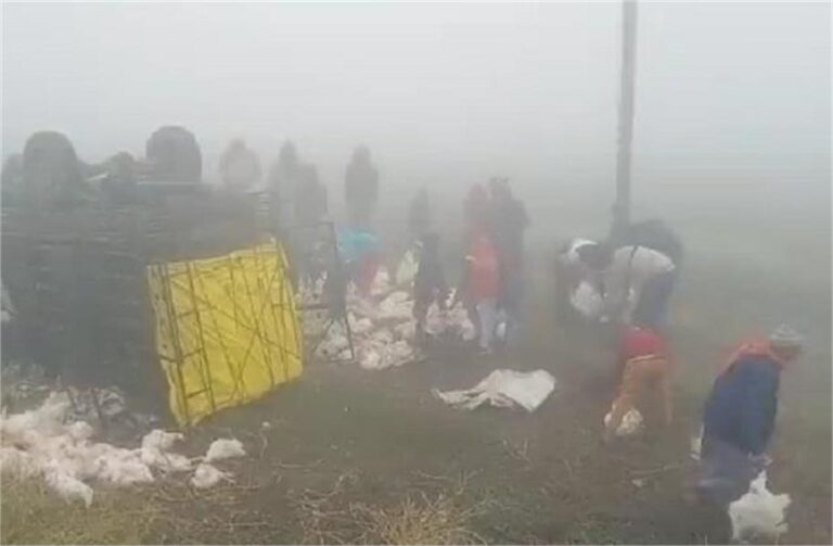 अब एक्सीडैंट के बाद ट्रक से मुर्गियां ले भागे लोग