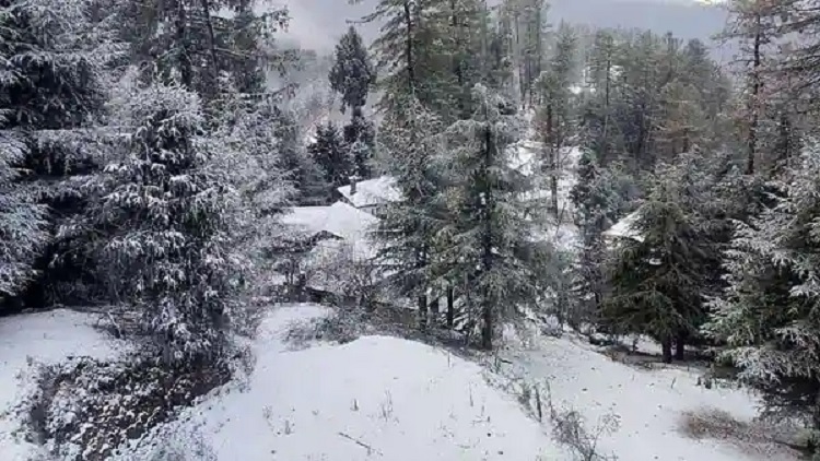 हिमाचल में आज भारी बारिश और बर्फबारी के लिए रहें तैयार : 7 जिलों में भारी हिमपात का अलर्ट –  मौसम विभाग