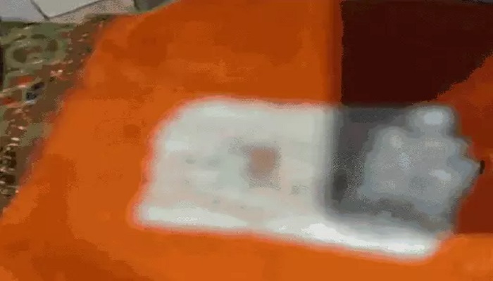 तरनतारन में हुई श्री गुटका साहिब की बेअदबी , पुलिस मामले की जांच में जुटी