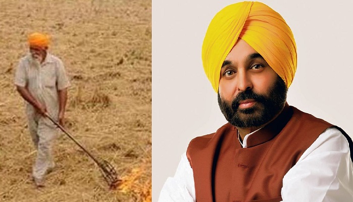 मान सरकार की कोशिशों के कारण, पंजाब में पराली जलाने के मामलों में आई भारी गिरावट