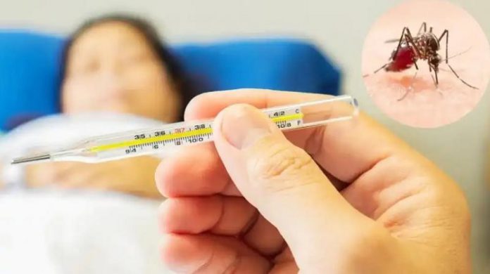 पंजाब में डेंगू का कहर, मरीजों की संख्या 10 हजार के पार