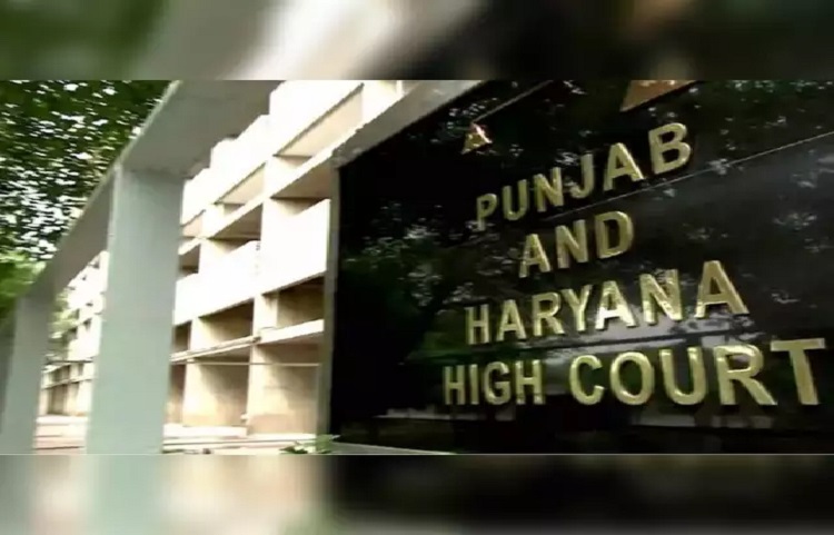 कोर्ट आने में लगाए सात साल, इसका मतलब परिवार अभाव में नहीं, अनुकंपा पर नियुक्ति की मांग खारिज