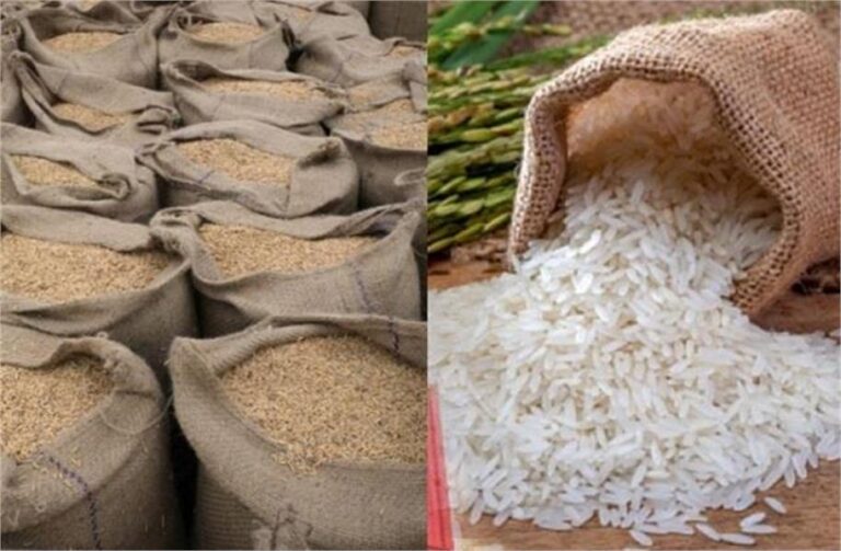 महंगा होगा चावल, Export में राहत देने की तैयारी में Modi सरकार