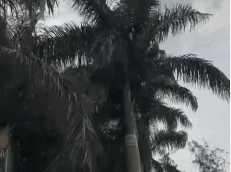 हरियाणा मौसम : 21 और 22 को बरसेगा मानसून:अगले 5 दिन प्रदेश में भारी बारिश का अनुमान, सिरसा में तापमान 40 डिग्री पार