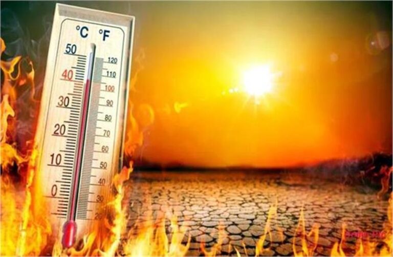 पंजाब में भीषण गर्मी ने फिर ली एक की जान,  जानें आगे के मौसम का हाल…