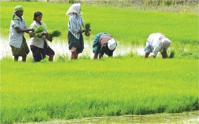 किसानों के लिए बड़ी खुशखबरी , अब ट्रांसमिशन लाइनों में उपयोग हुई जमीनों के लिए मिलेगा मुआवजा