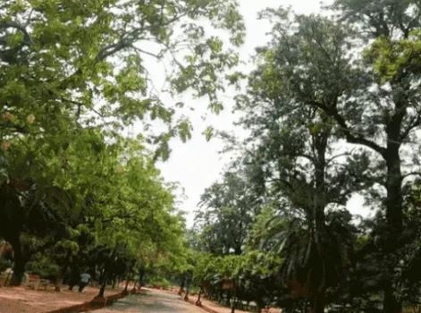 पंजाब में दो दिन और सताएगी उमस:17 को बारिश का अनुमान; गर्मी बढ़ी, आज 40 के पार जा सकता है तापमान