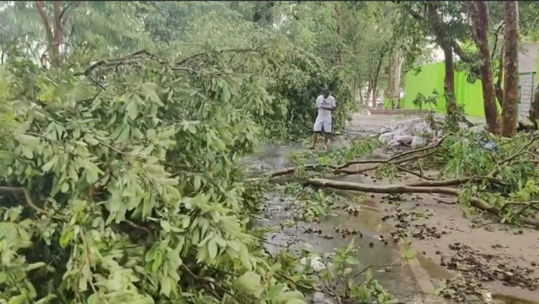 पंजाब : तूफान के कारण बंद हुआ ये Main रास्ता, जानें कहां…