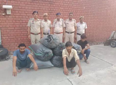 हिसार में 1.32 क्विंटल डोडा पोस्त बरामद:अग्रोहा में किराए के मकान में रेड; 3 व्यक्ति गिरफ्तार, 2 प्लंबर, 1 इलेक्ट्रिशियन है
