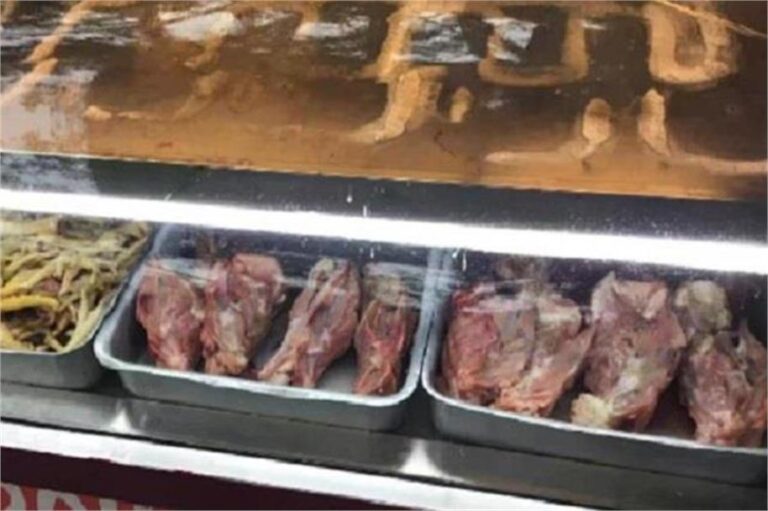 पंजाब के लोगों पर मंडरा रहा खतरा, Warning के बावजूद भी नहीं की जा रही परवाह