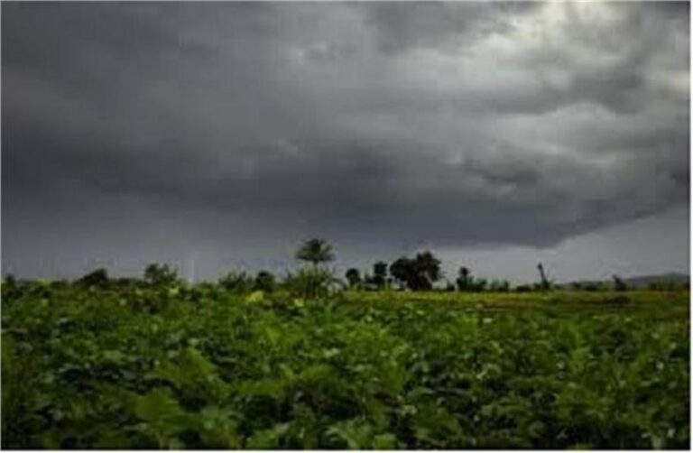 Weather: हरियाणा में इस बार हुई बहुत कम बरसात, पहाड़ से मैदान तक मानसूनी बारिश को तरसे लोग