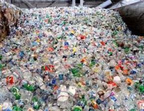 सावधान! सूखा-गीला कचरा अलग न करने पर अब होगी कारवाई, 1000 से लेकर 30000 तक का भरना पड़ेगा जुर्माना