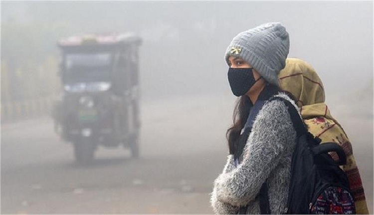 पराली जलाने पर जुर्माना बढ़ा, लेकिन दिल्ली की खतरनाक हवा के असली जिम्मेदार हैं आपकी गाड़ियां! क्या हैं असली कारण?