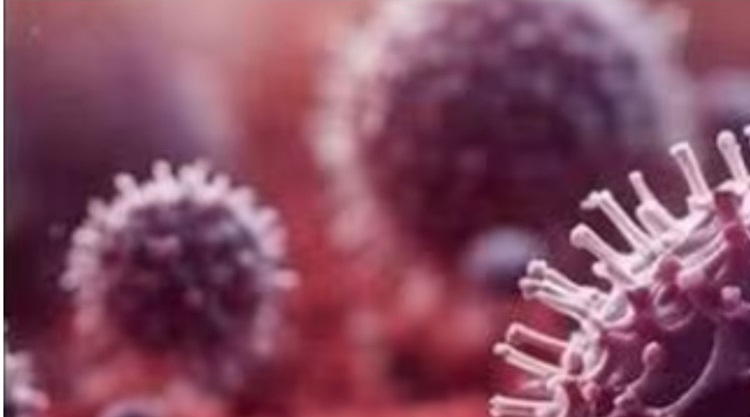 चीन में फैले HMPV वायरस की भारत में दस्तक, बेंगलुरु में 3 और 8 महीने के बच्चों में HMPV की पुष्टि